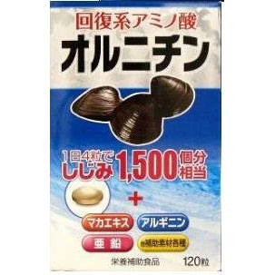 伸和製薬 オルニチン 120粒