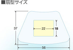 ケアリーヴ 治す力 防水タイプビッグサイ