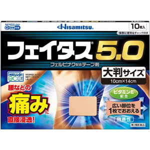 フェイタス5.0 大判サイズ 10枚入