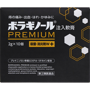 ボラギノールプレミアム注入軟膏 2g×10個