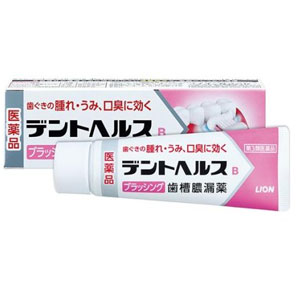 デントヘルスB ブラッシング歯槽膿漏薬 45g